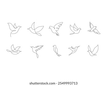 Bird Line Art Element Set