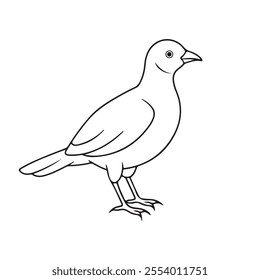 Bird line art vector image