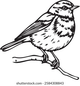 bird line art vector sticker