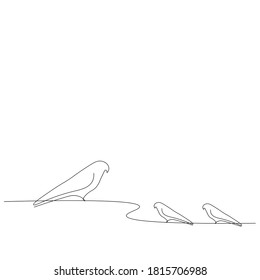 Bird line drawing on white background, vector illustration