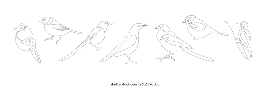 Bird line drawing set. One continuous line drawing birds, Hand Drawn Cute Birds Vector sketch icons. Set of ink drawing birds. Urban and forest birds. Black and White Design elements