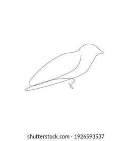 Bird line drawing, vector illustration