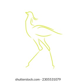 Bird Line Elegan , Colour white and Gold