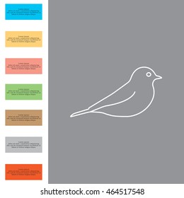 bird line icon 