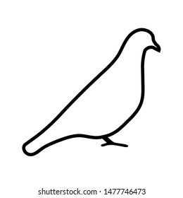 Bird line icon, logo isolated on white background