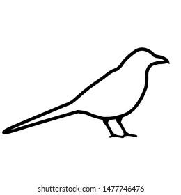 Bird line icon, logo isolated on white background