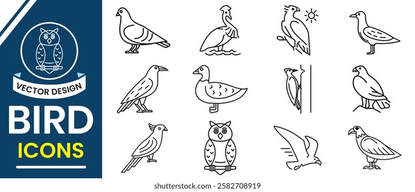 Bird line icon, vector set. Flying, siting and swimming bird icon, owl, dove, duck, parrot and others bird symbol. Set of silhouettes of birds vector sign and symbol. Vector illustration.