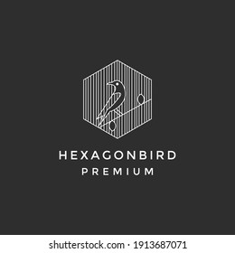 bird line logo design in black background