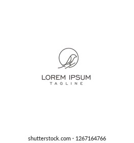 bird line logo template
