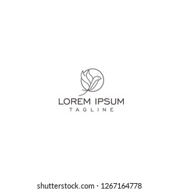 bird line logo template
