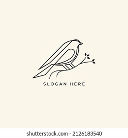 Bird line logo template, line bird, outline bird logo icon template