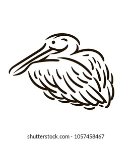 Bird line silhouette hand drawn illustration
