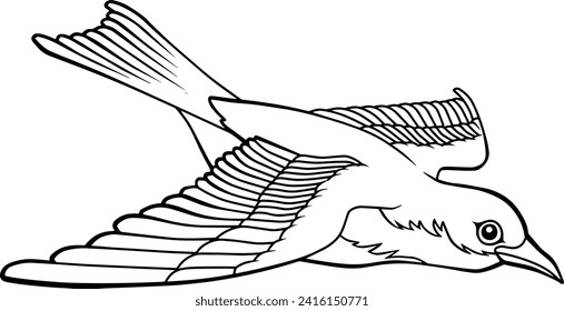bird line vector illustration isolated on white background