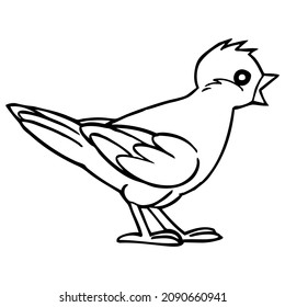 bird line vector illustration,isolated on white background,top view
