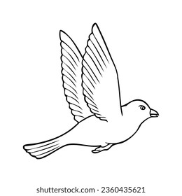 bird line vector illustration,isolated on white background,top view