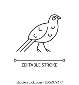Bird linear icon. Taiwan mountainous regions. Exotic forest inhabitants. Thin line customizable illustration. Contour symbol. Vector isolated outline drawing. Editable stroke