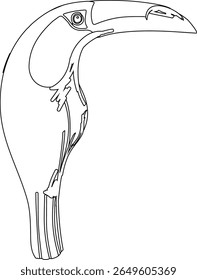  Bird linework illustration with strong contours, great for printable activities, worksheets, and decorative elements.