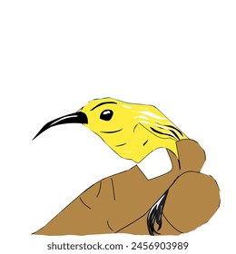 Bird The little spiderhunter (Arachnothera longirostra) vector