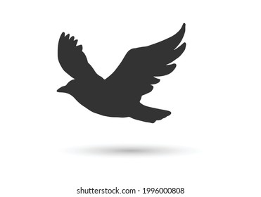 Bird Logo abstract design vector template. Flying Bird logotype concept icon.