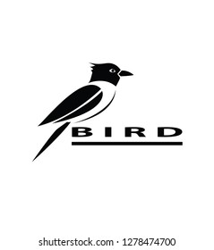 BIRD LOGO ART