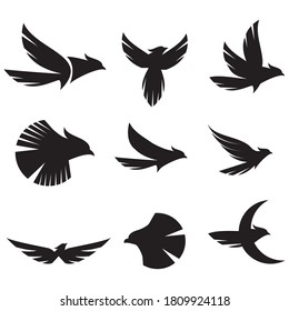 Bird logo artwork graphic nature icon vector.