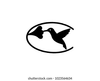 Bird logo black isolate on white background, Bird vector template concept illustration.