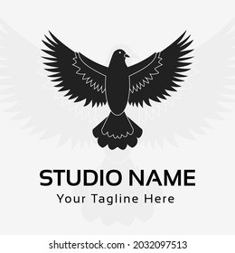 Bird logo with black and white color style, Perfect to use for a studio, production house, or another company.