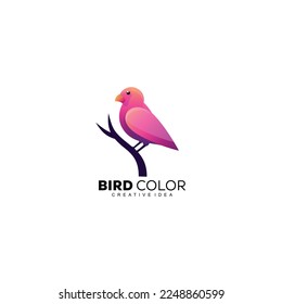 bird logo colorful template illustration design