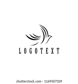 bird logo company design vector