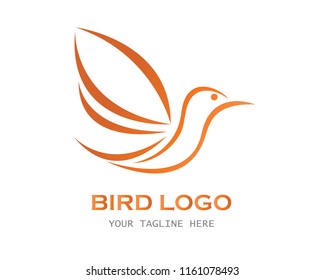 bird logo concept