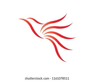 bird logo concept