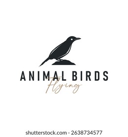 bird logo concept animal design flying freely in the sky hummingbird silhouette with a simple, cool, modern design illustration of a brand symbol template for a business product or poster template