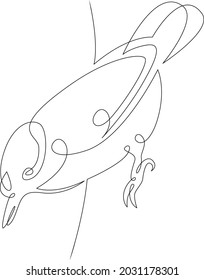 Bird logo.One continuous line.
Beautiful wild bird in nature.
One continuous drawing line logo isolated minimal illustration.