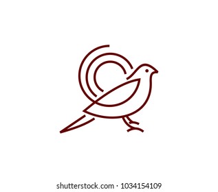 Bird logo design 