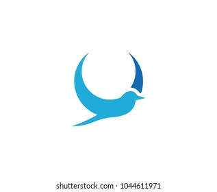 Bird logo design 