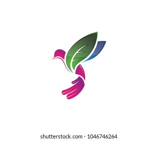 Bird logo design