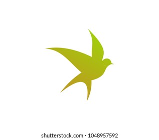 Bird logo design 