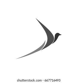 Bird Logo High Res Stock Images 