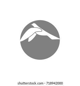 Bird Logo Design