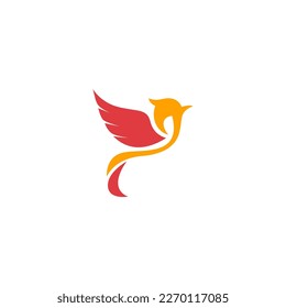 bird logo design. colored flying bird logo.