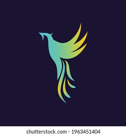 Bird logo design. Creative logo.