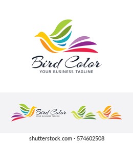 Bird logo design. Creative, Art studio, Colorful bird logo concept. Vector logo template
