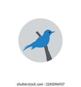Bird logo design free vector illustration