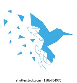 Bird logo. design logo hummingbird technology vector