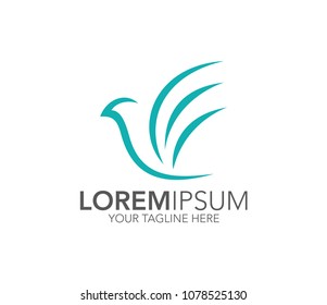 Bird Logo Design. Hummingbird logo vector