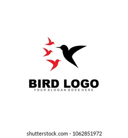 Bird logo design icon