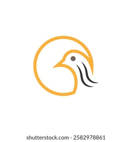  Bird logo design, bird icon, birds symbol, Eagle logo, Flying bird logos, Creative abstract bird logo, Falcon wings, birds logo,