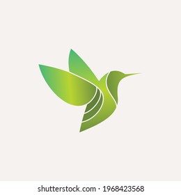 Bird Logo Design and Icon design Template 