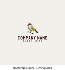 Bird logo design illustration colorfull
