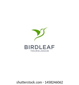 Bird logo design inspiration vector